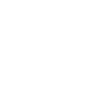 Alternate Text